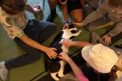 IMG-20250916-WA0001