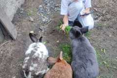 IMG-20250916-WA0008