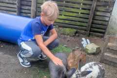IMG-20250916-WA0009