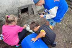 IMG-20250916-WA0011