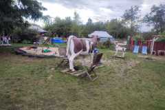 IMG-20250916-WA0014