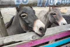 IMG-20250916-WA0016