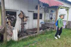 IMG-20250916-WA0023