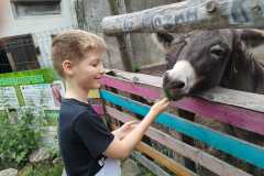IMG-20250916-WA0029