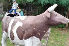 IMG-20250916-WA0032