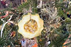 595801558_1517576473705443_8072404859049464935_n