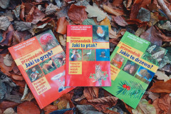 561635193_1474494798013611_6085507234834206024_n