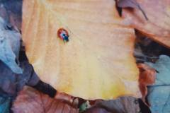 570558010_1474494204680337_6276963614068961342_n