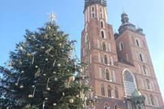 597704969_1522437349886022_887963555392206842_n