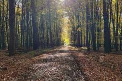 571273496_1478746154255142_4704441840089806021_n 571273496_1478746154255142_4704441840089806021_n