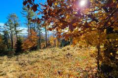 573479188_1480692074060550_107474556290103391_n