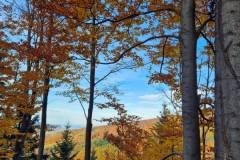 573604863_1480693897393701_4138452912182783094_n