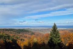 574100190_1480693857393705_5693711167632711721_n