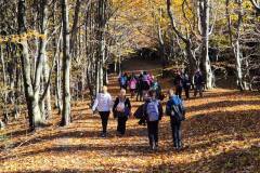 574385540_1480691997393891_718998499963350350_n