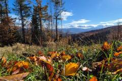 574487001_1480692037393887_5745413007747849900_n