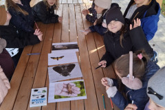 589845475_1509256341204123_1456341206567441312_n