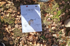 589941157_1509256511204106_4191679215198164384_n