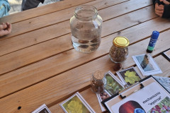 589956485_1509256304537460_8761037604919407328_n