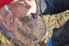 589969367_1509256414537449_5567073191615195494_n